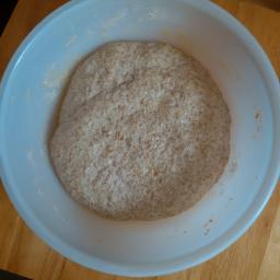 Dough after 6 hours rise