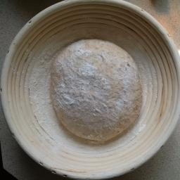 Dough after shaping 
before proof