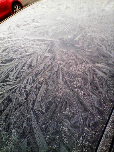 Dendritic growth of ice crystals: jack frost on car roof