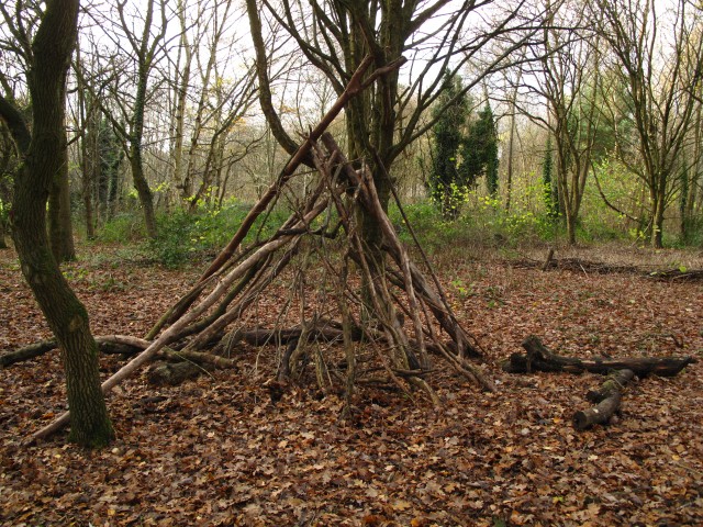 Cannon Hill park, coppice demonstration structure