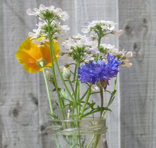 A few flowers in an old
      passata jar